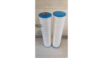 Pool Cartridge Filter 150