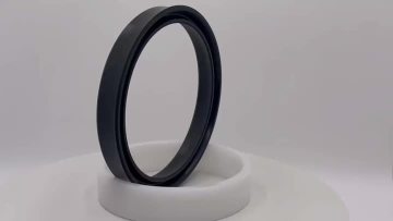 Rod Seal QYd