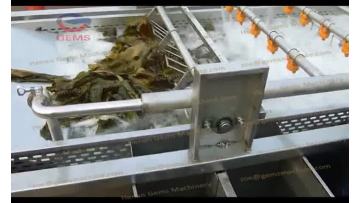 kelp washing machine.mp4