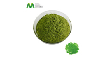 High Quality Organic Moringa Oleifera Leaf Extract Powder1