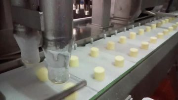 bon bon and coating products video