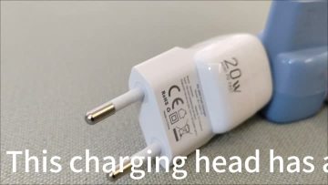 W1-G20-1C Small charger display
