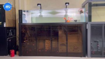 Water Plant Fish Tank
