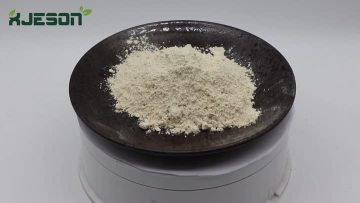Soybean Protein Powder