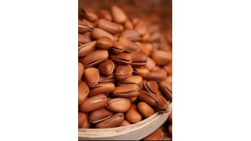 280g Deep Frying Open Pine Nut