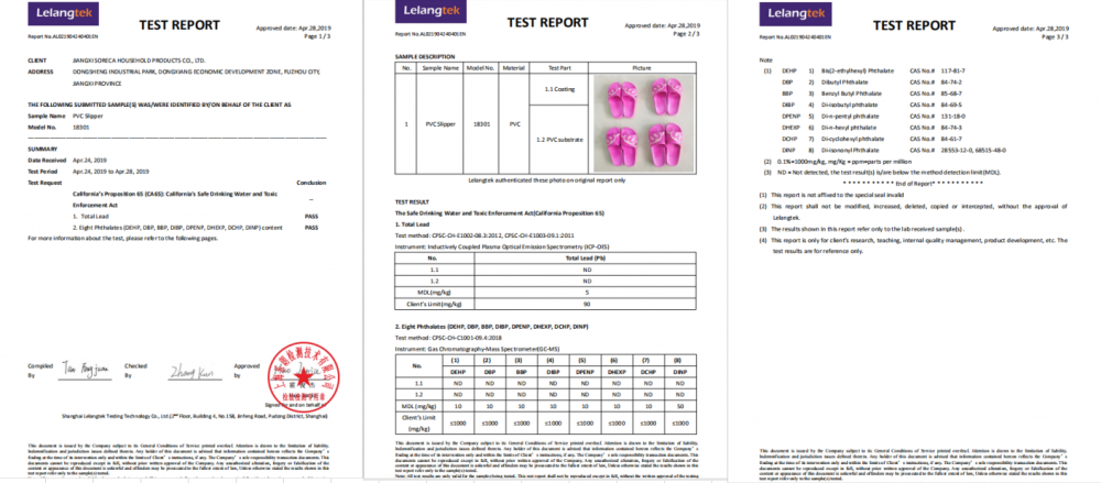 TEST REPORT(CA65)