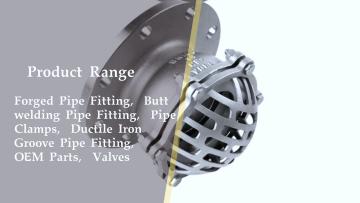 Flanged Check Valve