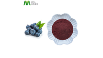 Best Price Blueberry Freeze-Dried Powder1