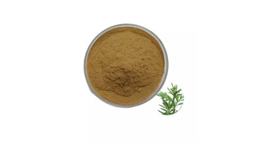 Wormwood extract