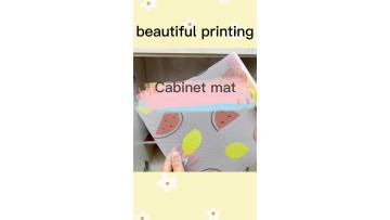 CABINET MAT 1