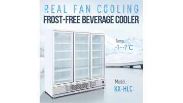 upright glass door display freezer
