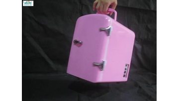 portable refrigerator 12v mini fridge 4L1