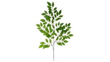 plant making