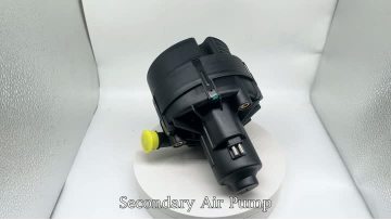 BJ-9409 Secondary Air Pump