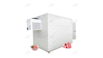 Big Size Walk-in Freezer Storage for Fresh Vegetables and Fruits1