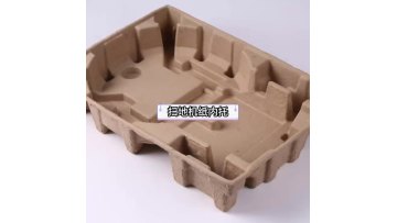 S-04 Biodegradable pulp inner tray insert recycled box wine packaging made from recycled paper1