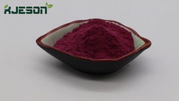 Cranberry Extract 