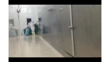 green beans processing line