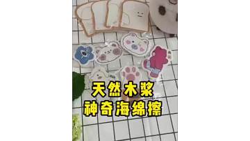 wood pulp sponge