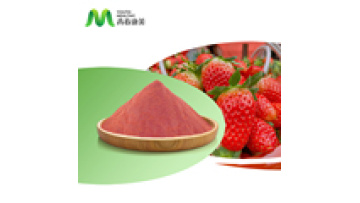 Private Label Hot Selling Bulk Milkshake Powder Strawberry Organic Strawberry Fruit Powder1