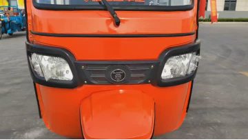 Versatile Three-Wheel Electric Vehicle with Dual Seating