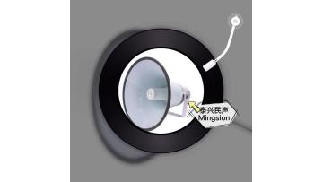 Treble horn speaker with YH-300K