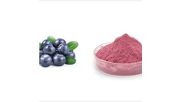Customizable Blueberry and Strawberry Fruit Extract Powder - Fully Water-soluble1