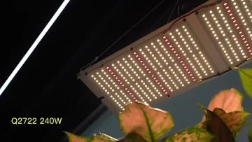 240w led grow light (2)