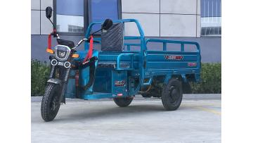 Two-light Electric Tricycle