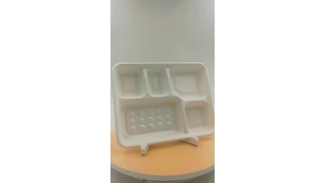 sugarcane 5-com bagasse tray