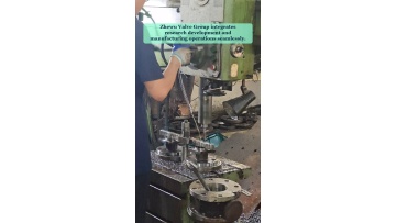 Video 21