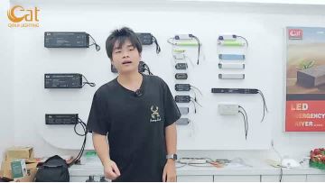 Qihui Lighting Showroom