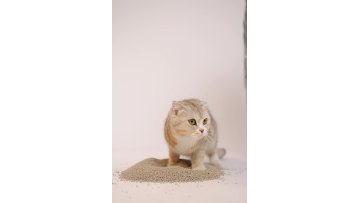 Mixed Size Lemon Scented Bentonite Cat Litter