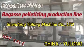 Yulong exports bagasse pelletizing production line equipment to Africa