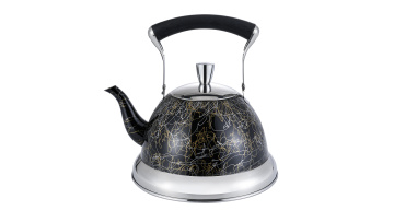 Shiny black stainless steel kettle FH-648