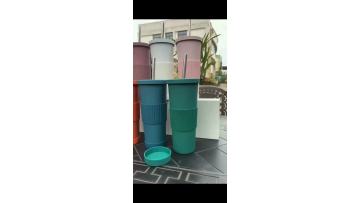 Colorful Ribbed Stainless Steel Tumbler with Straw