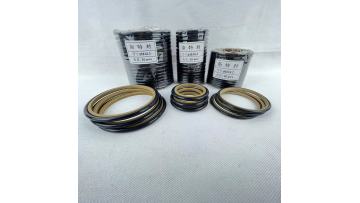 Excavator cylinder piston rod seals SPNS-Stephen