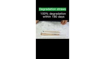 biodegradable straw