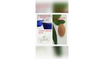 choline chloride 60