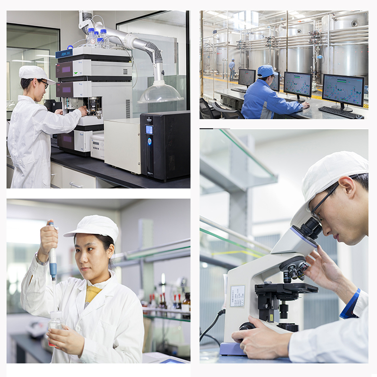 Top Quality  Isomalto oligosaccharide Soluble Corn Fiber IMO