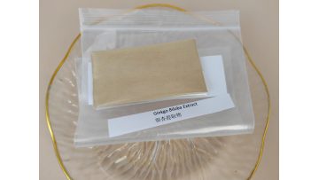 Ginkgo Biloba Extract