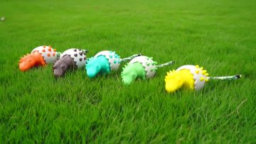 dinosaur egg for dogs