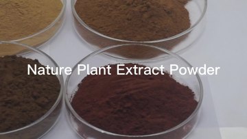 2023Free sample cat's claw extract powder Factory Supply Wholesale bulk1