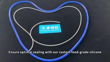 High Temperature Silicone Inflatable Seal for Medical & Food Equipment