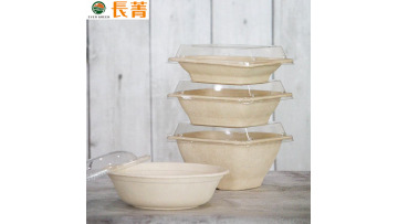 Bagasse Food Plate
