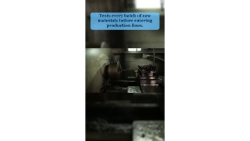 Video 31