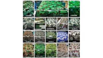 Green color coated steel coil production