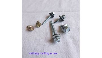 drilling roofing screw  (4)