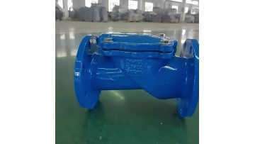 Rubber disc check valve