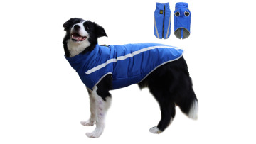pet clothing wholesale
